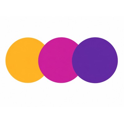 Netopsys AI Pvt Ltd logo